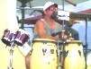 Ace at Heron Hill Winery 2004